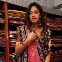 Haripriya launches Sanskriti Festive Designer collection Sarees - Pictures | Picture 104059
